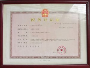 廣州市地方稅務局